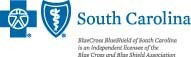 Blue Cross Blue Shield